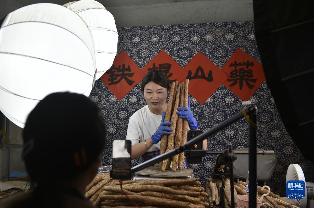 动博娯乐城